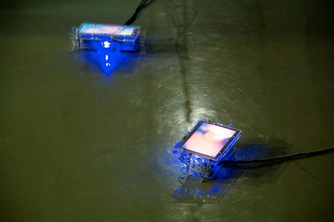 Taxonomy by Mariela Yeregui & Miguel Grassi