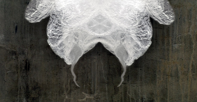 The Polymoids by Tina Willgren