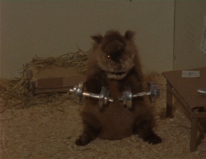 Masa by Anssi Kasitonni